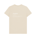 Aspire Definition