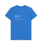 Aspire Definition