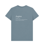 Aspire Definition